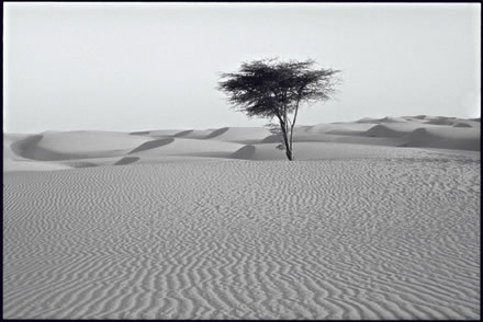 The expansive sands of the Adrar
